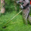 Petrol Backpack Brush Cutter Strimmer Grass Trimmer Garden 52cc 2 Stroke Kit 11