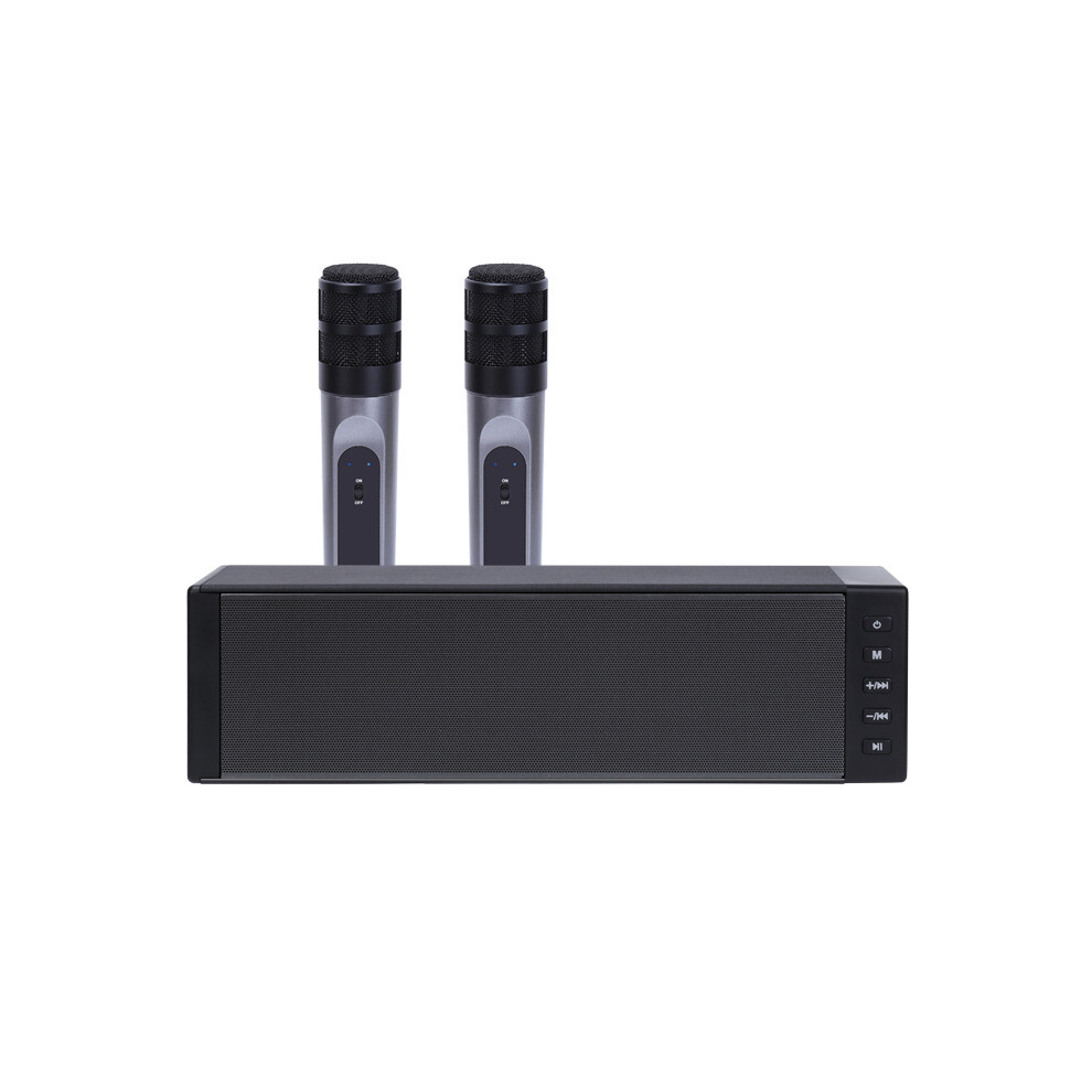 W 100 20W Bluetooth 5.0 Speaker Wireless Microphone Home Theater Soundbar Speaker Tf Card Aux Portable Bluetooth Karaoke Speaker 6900074295132