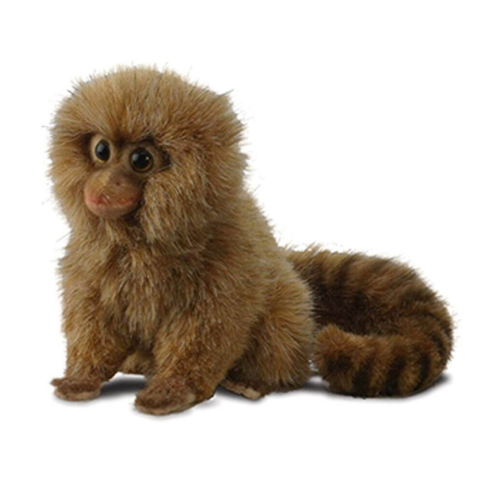 Hansa Pygmy Marmoset (15cm)