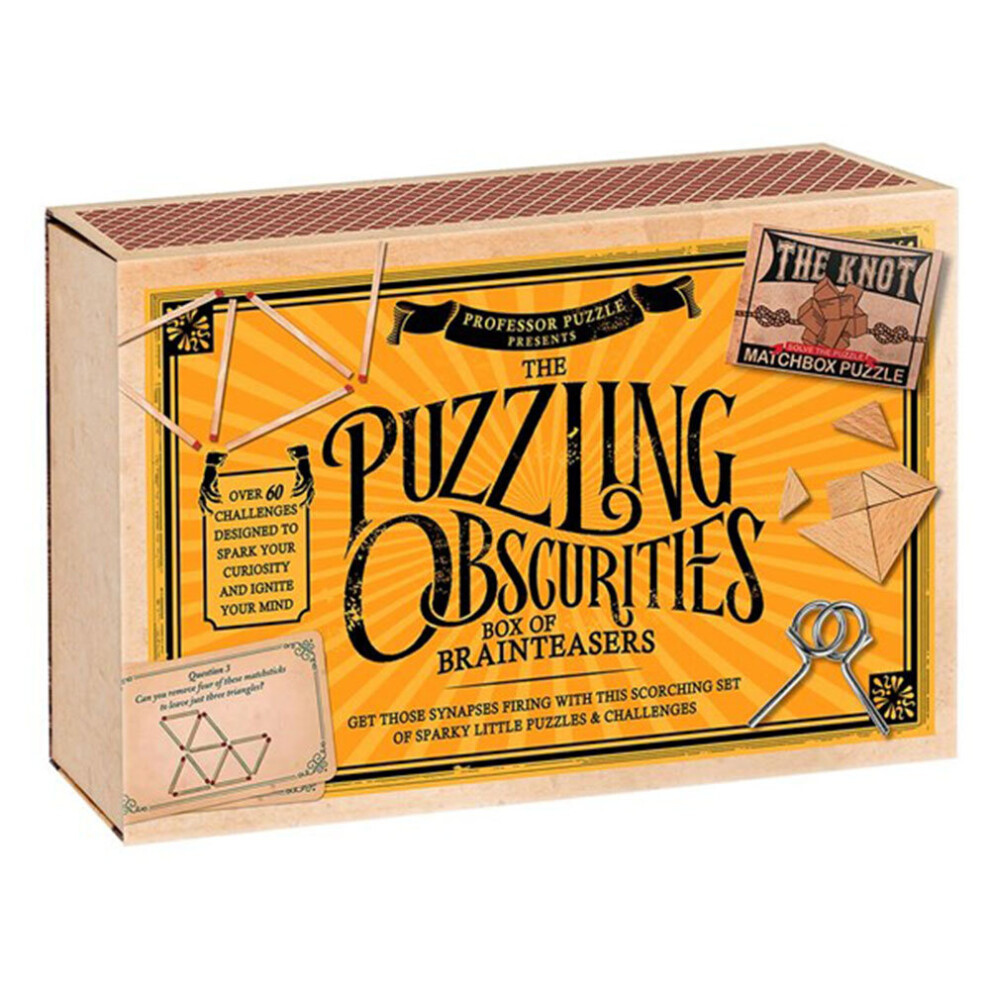 Professor Puzzle Puzzling Obscurities Brain Teaser Game Size 10