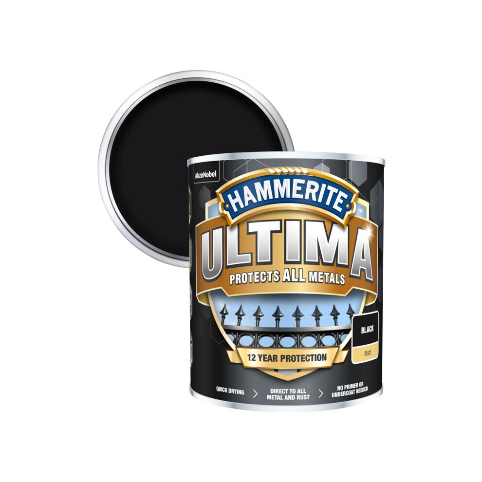 Hammerite Ultima Smooth Metal Paint 750ml Black