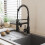 Living And Home (Black) Stainless Steel Kitchen Faucet with Pull Down Spring Spout and Pot Filler 3