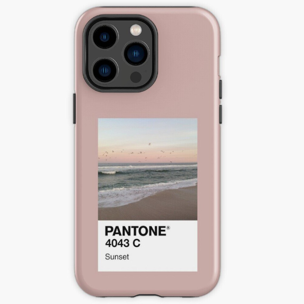 Phone Case Pantone Sunset For Iphone Samsung 14 13 12 11 Plus Pro Max Galaxy S23 S22 Ultra Note 20 10 4961739654444
