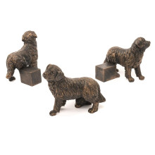 Plant Pot Ornament Potty Feet Bernese Mountain Dog Breed 3 Set Bronze