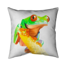 Begin Home Decor 5541-2020-AN288 20 x 20 in. Curious Red Eyed Frog-Double Sided Print Indoor Pillow