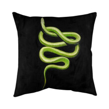 Begin Home Decor 5541-2020-AN280 20 x 20 in. Green Snake-Double Sided Print Indoor Pillow