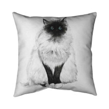 Begin Home Decor 5541-2020-AN190 20 x 20 in. Blue Eyes Fluffy Siamese Cat-Double Sided Print Indoor Pillow