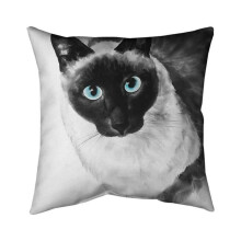 Begin Home Decor 5541-2020-AN191 20 x 20 in. Blue Eyes Siamese Cat-Double Sided Print Indoor Pillow