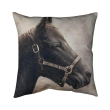 Begin Home Decor 5541-2626-AN64 26 x 26 in. Gallopin The Brown Horse-Double Sided Print Indoor Pillow