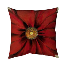 Begin Home Decor 5541-2626-FL2 26 x 26 in. Red Daisy-Double Sided Print Indoor Pillow