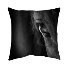 Begin Home Decor 5541-2626-PH4 26 x 26 in. Black Horse-Double Sided Print Indoor Pillow