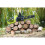 Ryobi 813510 RYOBI kæde 30 cm 3