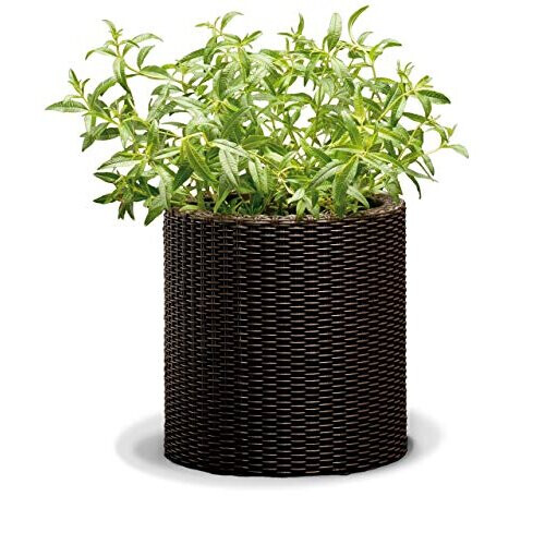 Keter CURVER Medium Rattan Pot
