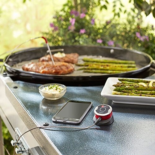 Weber Aangesloten thermometer - WEBER - IGrill mini - Bereik 45cm - Zwart 1