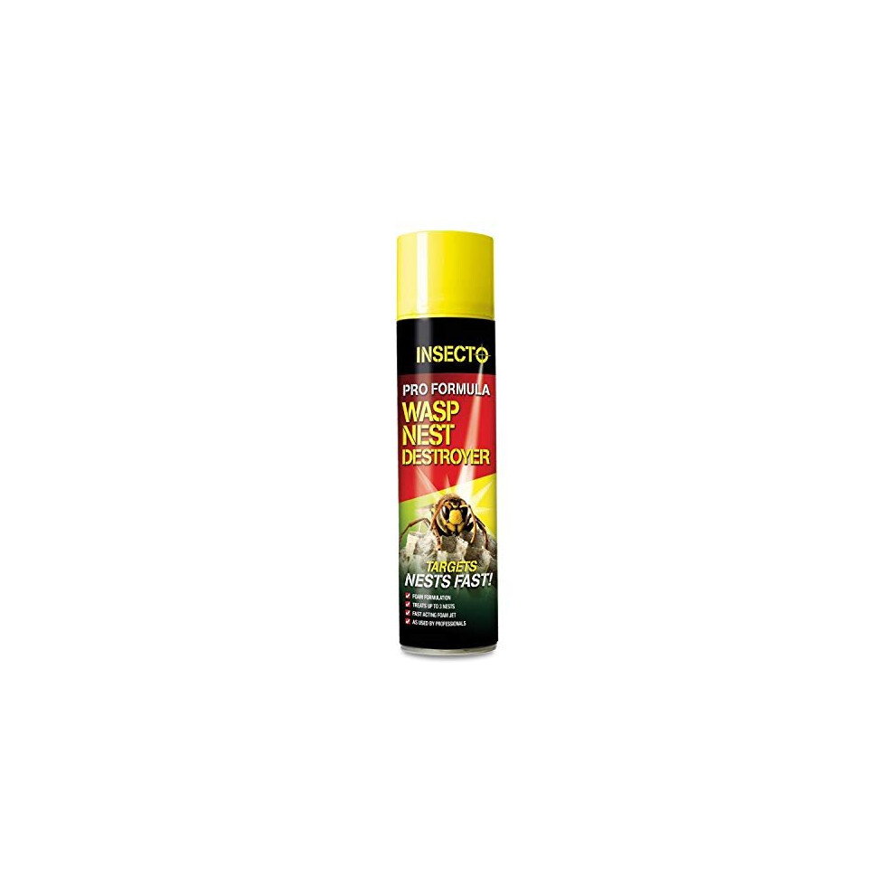 Pro Formula Wasp Nest Killer 300ml