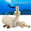 DC 12V Solar Water Pump HotCooling Water Circulation Pump 5
