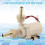 DC 12V Solar Water Pump HotCooling Water Circulation Pump 6