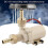DC 12V Solar Water Pump HotCooling Water Circulation Pump 4