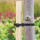 4 Pcs Tree Ties Ttraps 60 x 25cm Adjustable Tree Shrub Support Ties 7