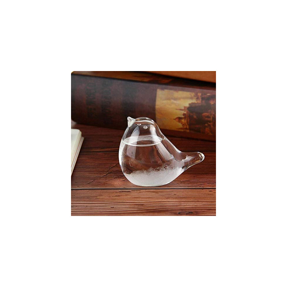 Storm Glass Weather Forecaster Weather Station Liquid Barometer Weather Predictor Fashion Creative Office Desktop and Home Decorative Weather Glass