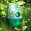 ARMA Ram 4 X Hanging Wasp Trap Hornet Bee House 2