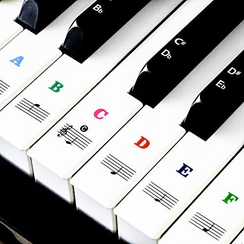 Piano Key Stickers For 3749546188 Keys Music Keyboard Stickers Black 