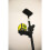 Ryobi RBCLTP1 Telescopic Pole Black 4