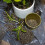 749901 Leca Clay Pebbles 410 mm 1l 7