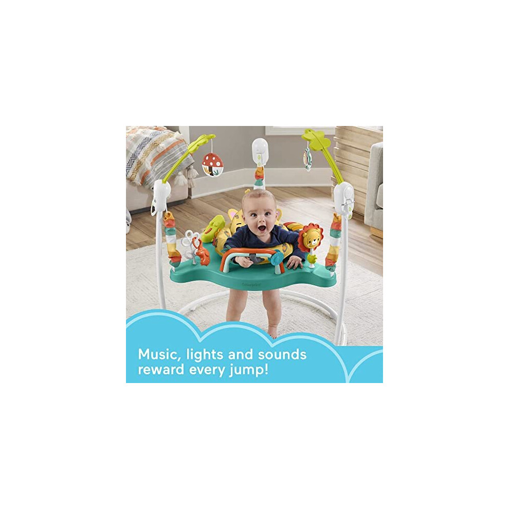 Wild Jumperoo Fisher Price Baby Jumperoo Monkey Fisher-Price Rainforest  Jumperoo Baby Bouncer, Interactive, image size:990x990