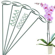 5 Pack 40 cm 16 inch Plant Support Stakes Garden Single Stem Support Stake Amaryllis Plant Cage Support Rings with 10 pcs Plant Clips for