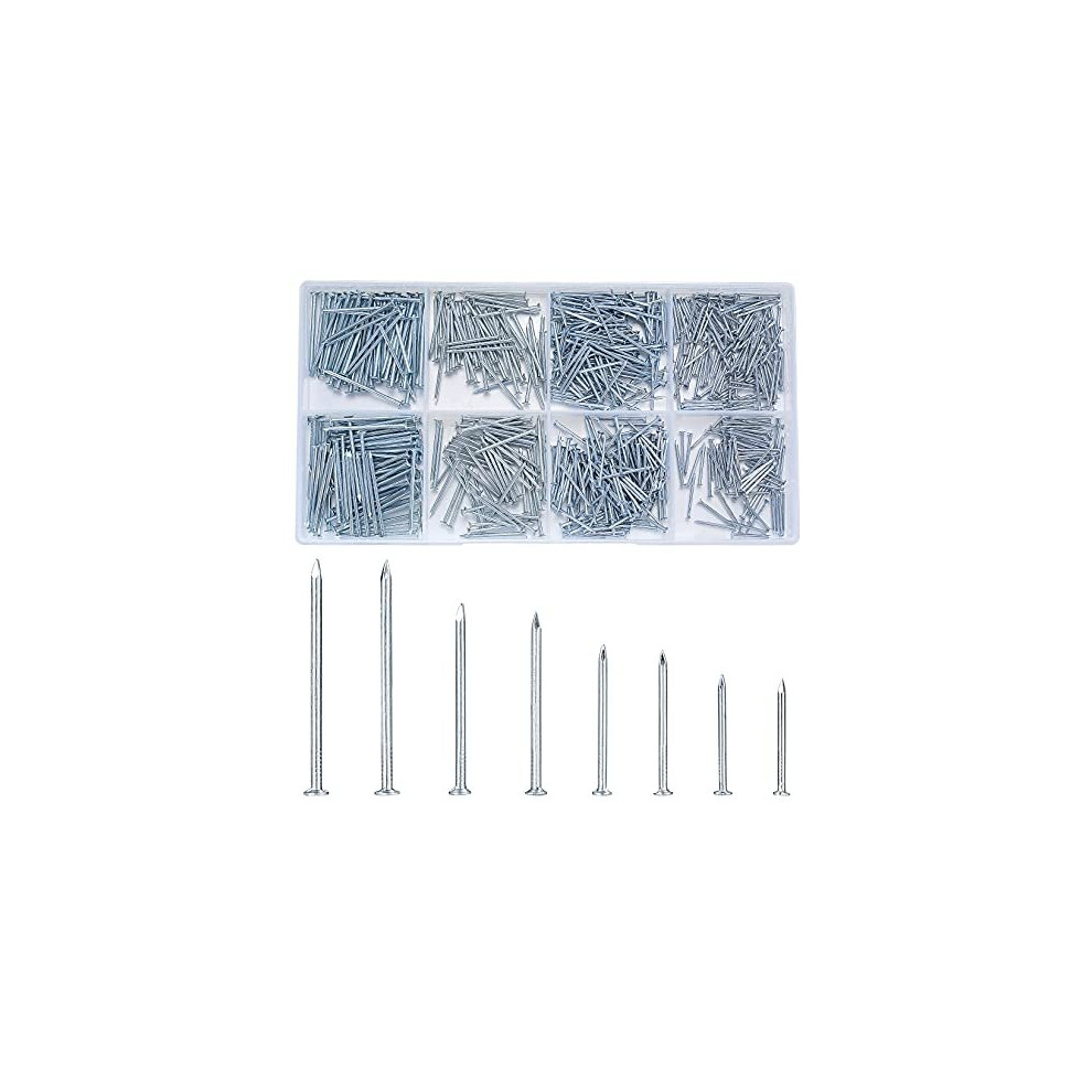 720 Pcs Assorted Nails For Wood Flat Head Nails Silver Hardware Wall Pictures Pins Tacks Nails Set Finishing Nails Assortment Fasteners For 600609962749