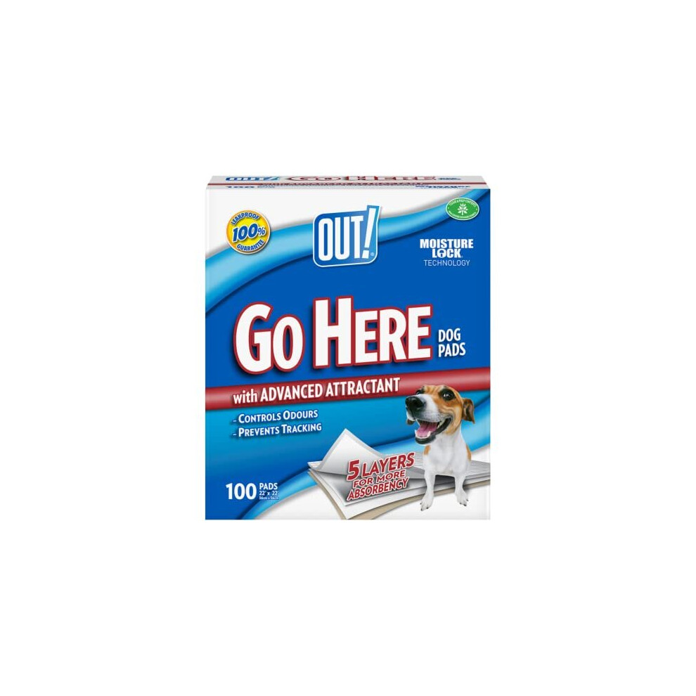 Out! Go Here Absorbent Pet And Puppy Training Pads 100 Pads