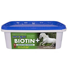 MEGA BIOTIN Maximum Biotin 40mg Enhanced Absorption aids Accelerated Hoof RepairConcentrated Formula Helps Prevent Laminitis