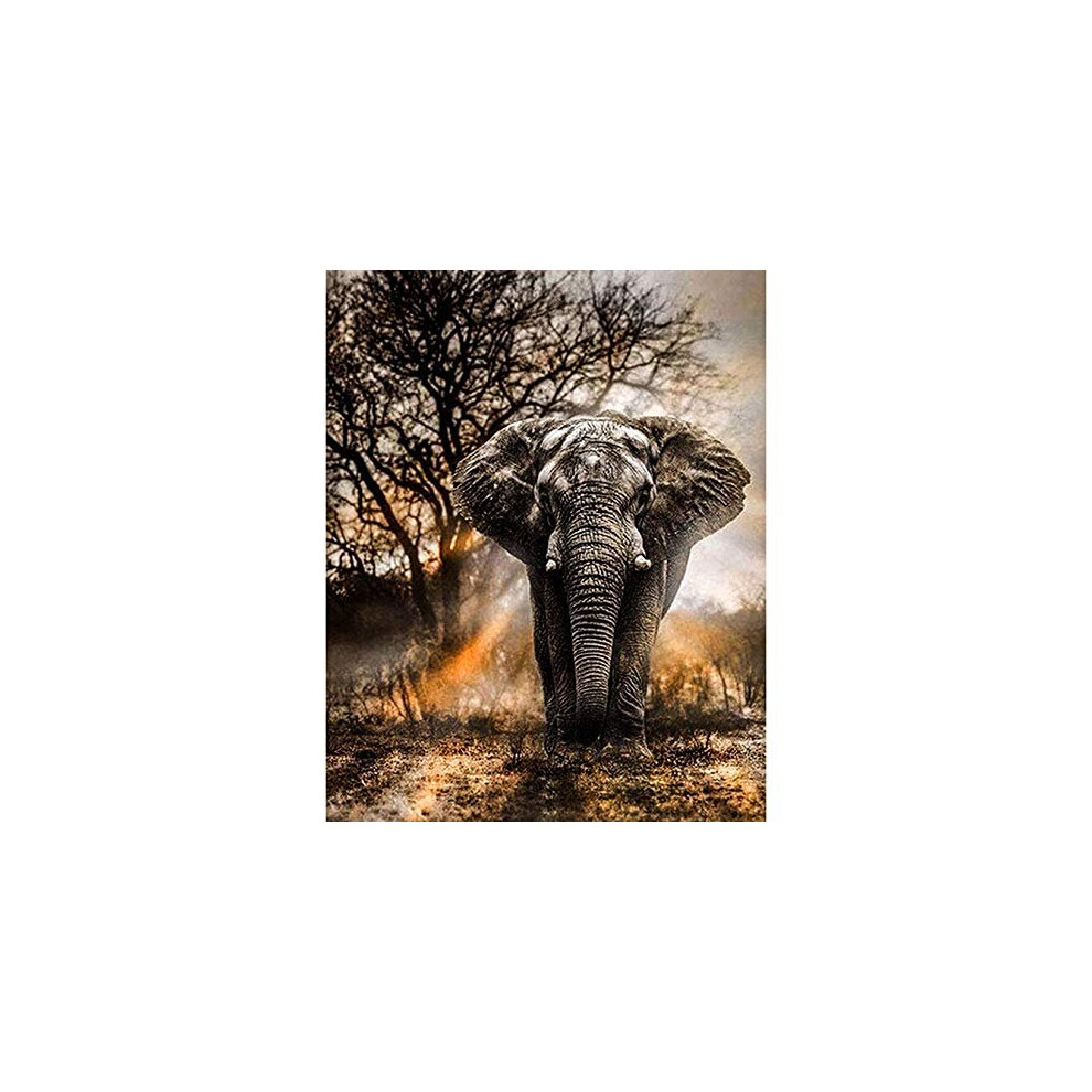 5D Diamond Paint Kits Full Drill Elephant Crystal Rhinestone Diamond Embroidery Art Pictures DIY Arts Craft Supply for Adults Kids Home Wall Decor