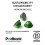 Nespresso Vertuo Pop Coffee Pod Machine by Krups Coconut White XN920140 8
