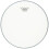 Vintage Ambassador Coated Batter Head 12in 1
