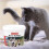 Beaphar Bone Builder 500 g 6