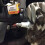 Spark Plug NGK BPMR7A 7