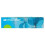 OBTampons Super Plus Easy and Reliable Protection 16 Pieces 5