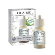 Dr Giorgini Powder Cicatriz 10g