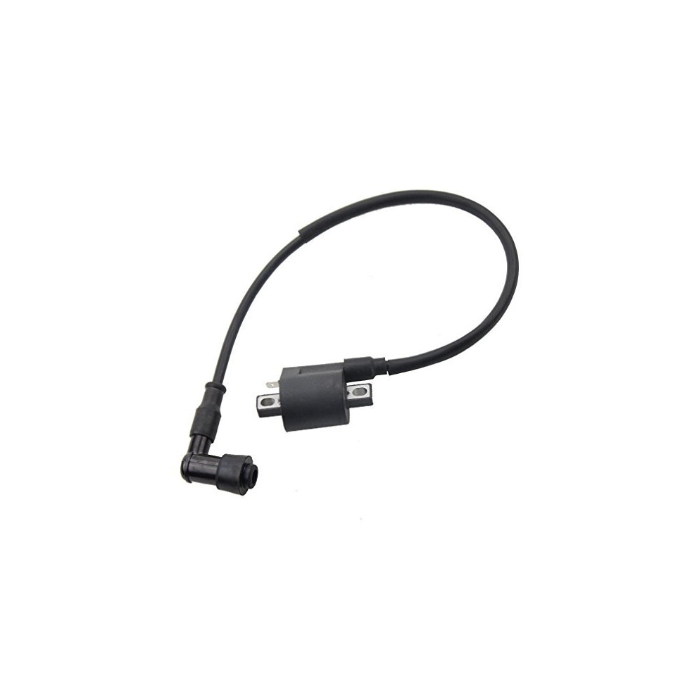 Ignition Coil For Cg 125Cc 150Cc 200Cc 250Cc Mtbatb Go Kart Dirt Bike Pit Bike Four Wheeler Quad Bikes 611714980894