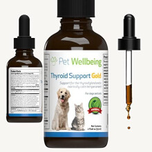 Thyroid Support Gold for Cats Thyroid Gland Balance Natural Herbal Supplement 2 oz 59 ml