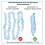 Refill Cassettes Pack of Dress Up 2