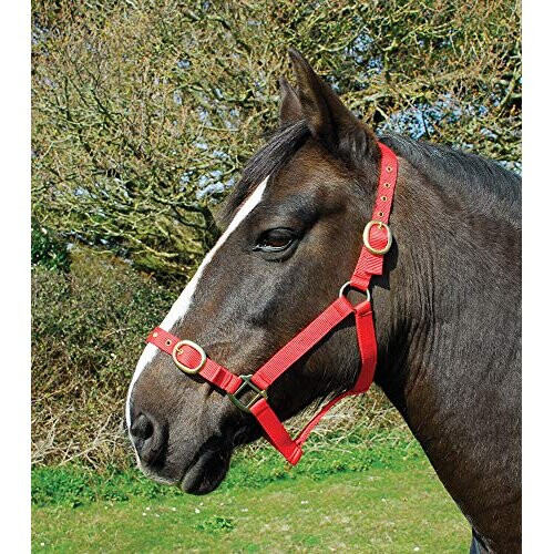 Nylon Headcollar Pony Red