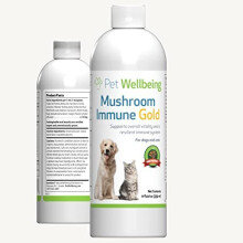 Mushroom Immune Gold Potent Complementary Alternative Health Support For Immunocompromised Dogs And Cats 8oz