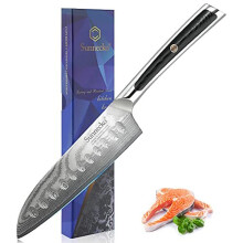 Santoku Knife 5 inch Japanese Chef Knife Damascus Knife 73 Layers VG10 Damascus Steel with Ergonomic G10 Handle Chooping Knife for Vegetables and Meat