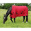 Konig Outdoor Rug Mediumweight 200gsm polyfill 1