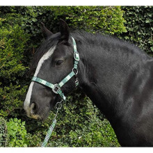 Unisexs Carnival Headcollar Rope Green Check Full