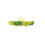 Joseph Joseph 45030 Bloom Folding Steamer Basket for Vegetables Green 3