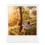 Polaroid Color Film for SX70 7